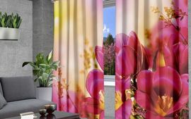 Комплект штор Тюльпаны на закате