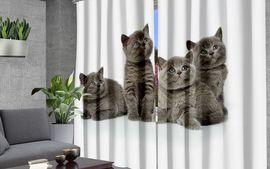 Комплект штор  Серые котята
